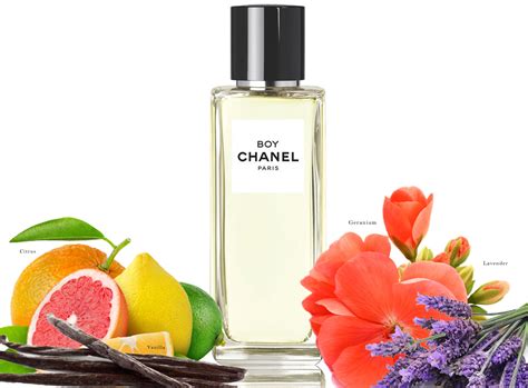 boy chanel perfume review